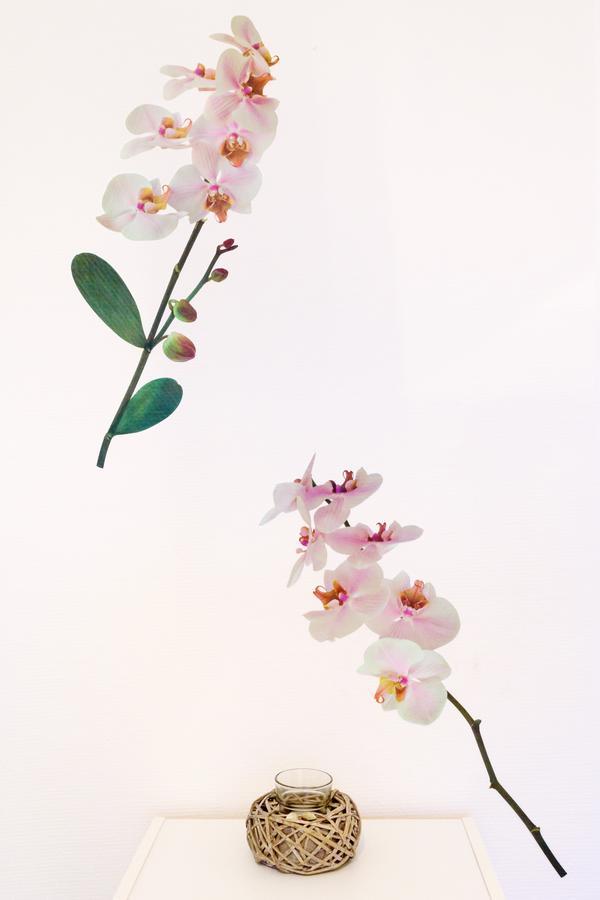 Apartmani Orhideja กอร์นยิ คาริน ภายนอก รูปภาพ